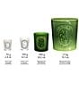 DIPTYQUE undefined, 00000000_sk_1412805__04_ai - undefined