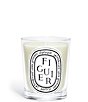 DIPTYQUE Figuier (Fig Tree) Candle - Image 2
