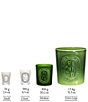 DIPTYQUE Figuier (Fig Tree) Candle - Image 3