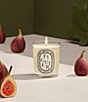 DIPTYQUE Figuier (Fig Tree) Candle - Image 4