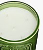 DIPTYQUE Figuier (Fig Tree) Candle - Image 6