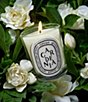 DIPTYQUE Gardenia Classic Candle - Image 2