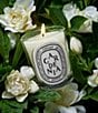 DIPTYQUE Gardenia Classic Candle, 6.7 oz. - Image 2