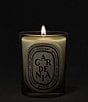 DIPTYQUE Gardenia Classic Candle, 6.7 oz. - Image 3