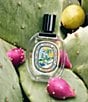 DIPTYQUE Ilio Eau de Toilette - Image 5