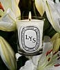 DIPTYQUE Lys (Lily) Classic Candle, 6.7 oz. - Image 2