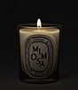 DIPTYQUE Mimosa Classic Candle, 6.7 oz. - Image 3