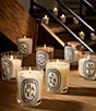 DIPTYQUE Mimosa Classic Candle, 6.7 oz. - Image 4