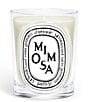 DIPTYQUE Mimosa Classic Candle - Image 1