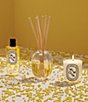 DIPTYQUE Mimosa Candle - Image 5