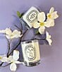 DIPTYQUE undefined, 00000000__20558202_05_ai - undefined