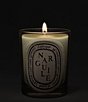 DIPTYQUE Narguile Classic Candle - Image 3