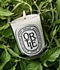 DIPTYQUE Ortie (Nettle) Classic Candle - Image 2