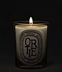 DIPTYQUE Ortie (Nettle) Classic Candle - Image 3