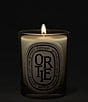DIPTYQUE Ortie (Nettle) Classic Candle, 6.7 oz. - Image 3
