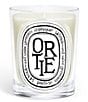 DIPTYQUE Ortie (Nettle) Classic Candle - Image 1