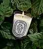 DIPTYQUE Patchouli Classic Candle - Image 2