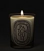DIPTYQUE Patchouli Classic Candle - Image 3