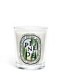 DIPTYQUE Pinede (Pine Grove) Classic Candle, 6.7 oz. - Image 1