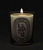 DIPTYQUE Rhubarbe (Rhubarb) Classic Candle, 6.7 oz. - Image 3