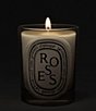 DIPTYQUE Roses Classic Candle - Image 3