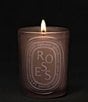 DIPTYQUE Roses Medium Candle - Image 2