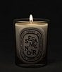 DIPTYQUE Sesame Noir (Black Sesame) Classic Candle, 6.7 oz. - Image 3