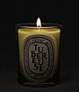 DIPTYQUE Tubereuse Classic Candle, 6.7 oz. - Image 3