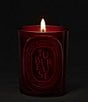 DIPTYQUE Tubereuse (Tuberose) Medium Candle, 10.6 oz. - Image 2
