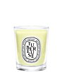 DIPTYQUE Tubereuse (Tuberose) Candle - Image 3