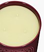DIPTYQUE Tubereuse (Tuberose) Candle - Image 6