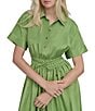 Donna Karan DKNY by Donna Karan Point Collar Neck Short Sleeve Cinch Waist Button Front Shirt Maxi Dress, Color:Salted Lime - Image 5