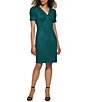 Color:Forest Green - Image 1 - Faux Suede V-Neck Short Puff Sleeve Sheath Dress