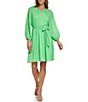 Color:Island Green - Image 1 - Keyhole Neckline Long Balloon Sleeve Fit and Flare Dress
