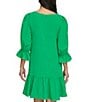 Color:Apple Green - Image 2 - Ruffle 3/4 Sleeve Woven Shift Dress