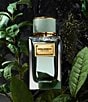 Dolce & Gabbana Velvet Infusion Eau de Parfum - Image 3