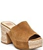 Dolce Vita Bohdi Espadrille Suede Platform Sandals - Image 1