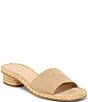 Dolce Vita Dixi Suede Banded Slide Sandals - Image 1