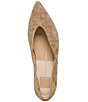 Dolce Vita Gema Suede Pointed Toe Flats - Image 5