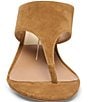 Dolce Vita Symon Suede Raffia Wedge Thong Sandals - Image 4