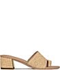 Color:Camel - Image 2 - Melros Raffia Banded Slide Sandals