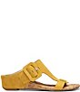 Color:Dijon - Image 2 - Ofelia Suede Buckle Slide Sandals