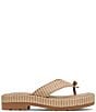 Donald Pliner Sylverr Raffia Thong Platform Sandals - Image 2