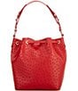 Dooney & Bourke undefined, 00000000_zi_ff804b07-097a-4dde-809d-6de49348eb7d__01_ai - undefined