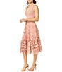 Color:Blush - Image 3 - Darleen Sleeveless V-Neck Embroidered Mesh A-Line Dress