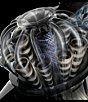 Dyson V8 Cyclone Cordless Vacuum - Image 6