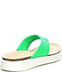 Color:Toucan Neon - Image 2 - Corksphere Leather Thong Sandals