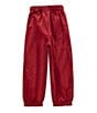 Edgehill Collection x Darby Fallon Clark Little Boys Jack Reversible Gingham Corduroy Pull-On Pants, Color:Burgundy Gingham - Image 3