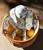 Edgehill Collection x Megan Karp Wicker Floral Printed Lined Basket - Image 2