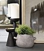Color:Gray - Image 6 - Tanis Scalloped Edge Handled Vase